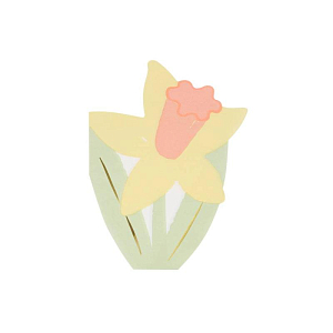 Салфетки Мери Мери (Meri Meri) "Весенние цветы"